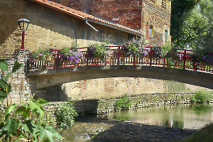 petit pont fleuri Chatillon sur Chalaronne