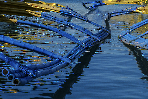 bateaux018sacksteder