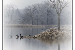 Brouillard Pluie Givre