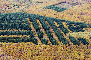 Couleurs de l'automne