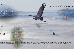 Défi carte de voeux 2021