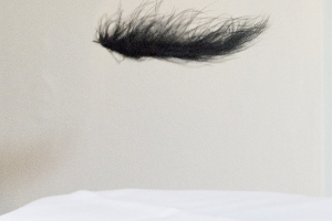 Elisabeth Guinot  test