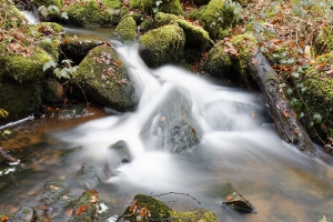 Philippe Contassot  Cool