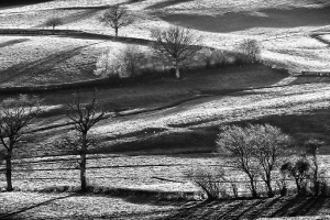 noir et blanc