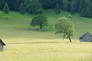 semaine_P_Hartmann