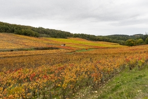 Couleurs d'automne_2