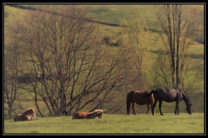 En famille_1