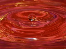 Galeries adhérents &raquo; Elisabeth Guinot