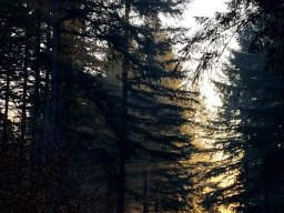 Galeries adhérents &raquo; Antonio Di Stefano