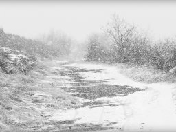 Galeries adhérents &raquo; Monique Beaufils