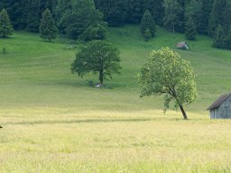 Galeries adhérents &raquo; Philippe Hartmann