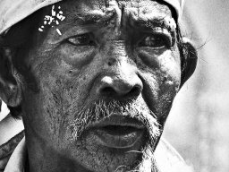 Galeries adhérents &raquo; Thierry Martinet