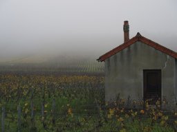 brouillard pluie givre