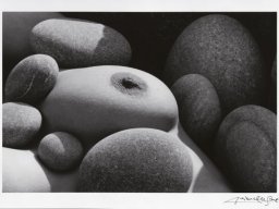 photographes francais