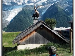 photos de la semaine