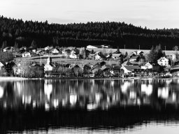 2019 regional ip monochrome