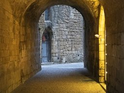 2020 regional ip couleur