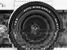 2020 regional ip monochrome