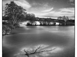 2021 national 1 ip monochrome