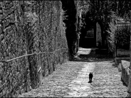 2021 regional ip monochrome