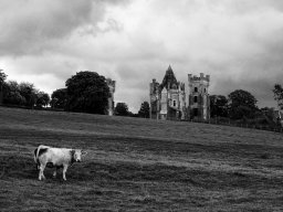 2022 regional ip monochrome