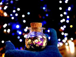 2022 regional papier couleur