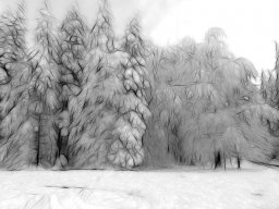 2023-national-1-ip-monochrome