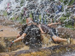 2023-regional-ip-couleur