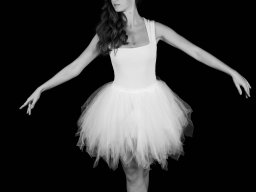 2024 Regional Auteur IP