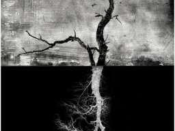 2025 N1 image projetee monochrome