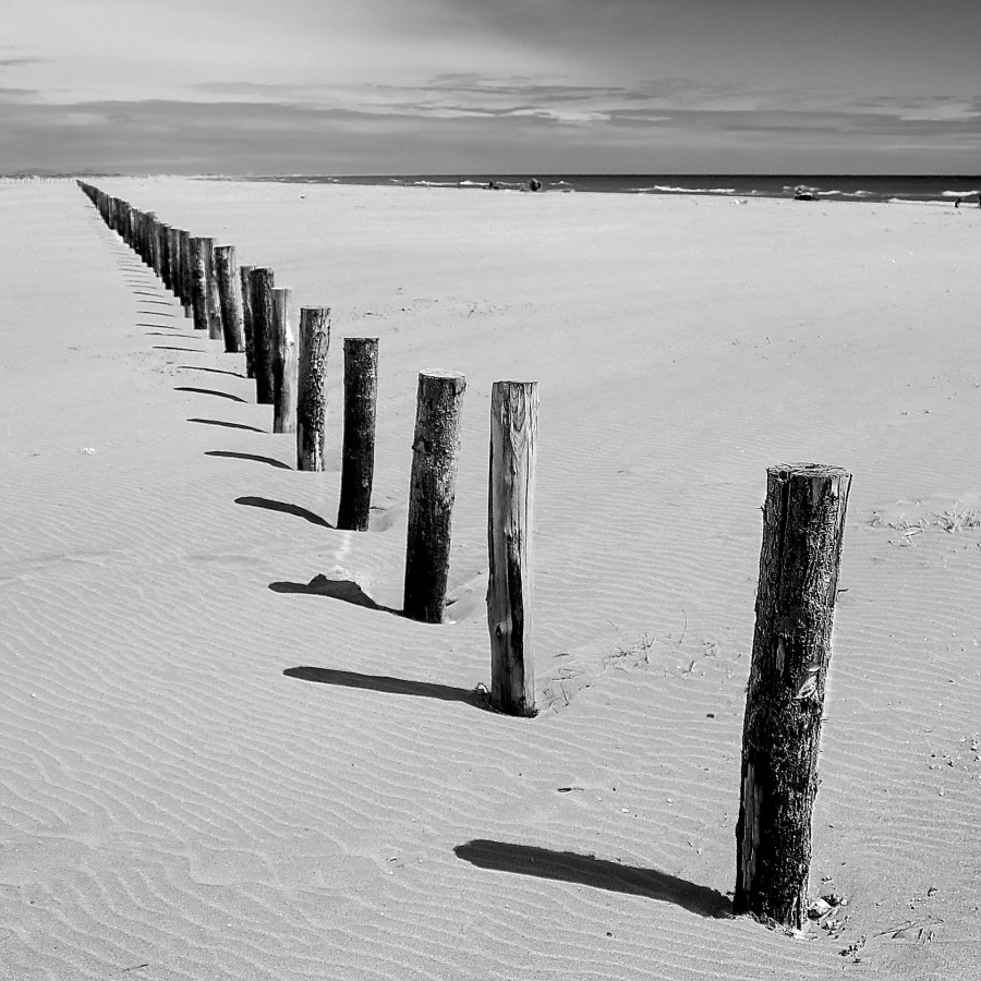 photo_23
