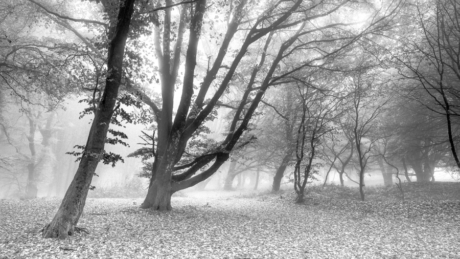 photo_7