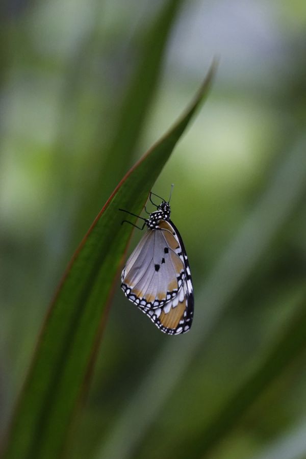 photo_6