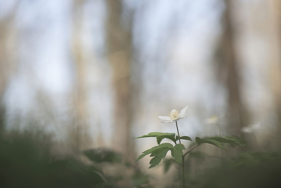 photo_2