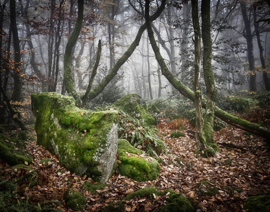 photo_1