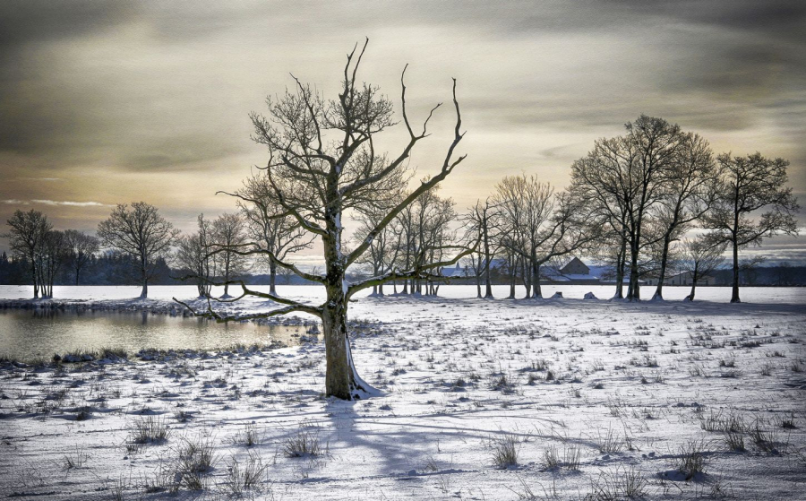 photo_2