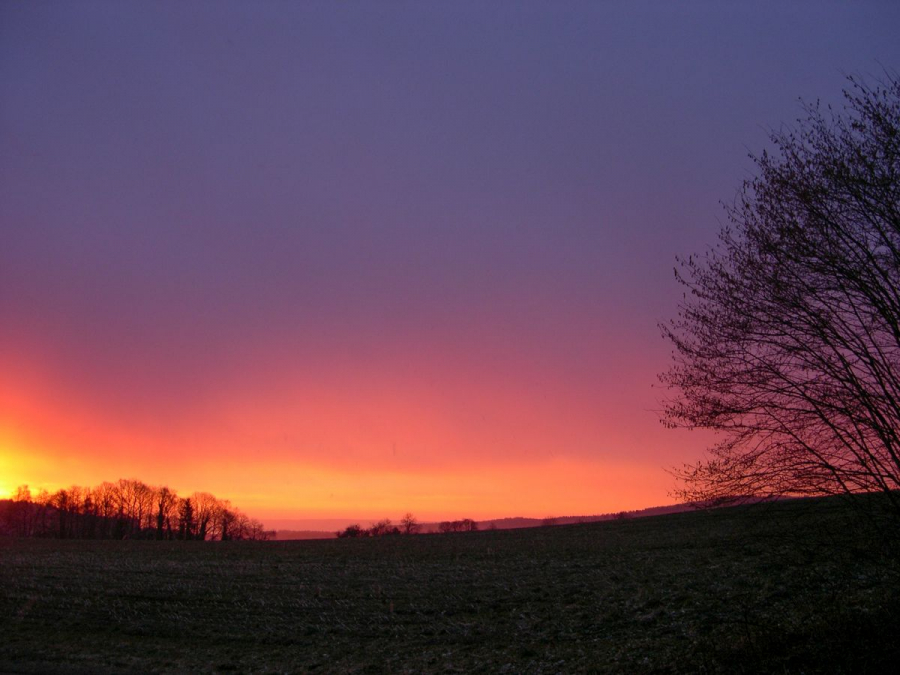 photo_34
