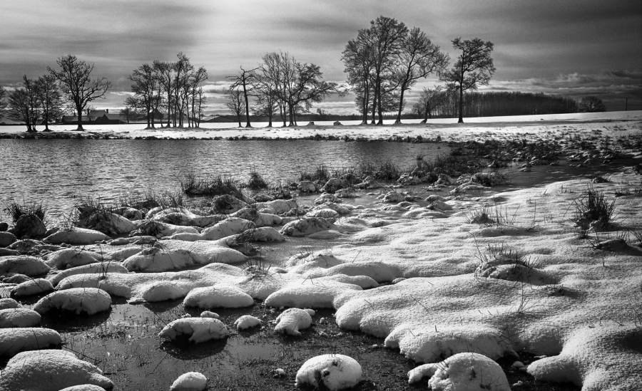 photo_1