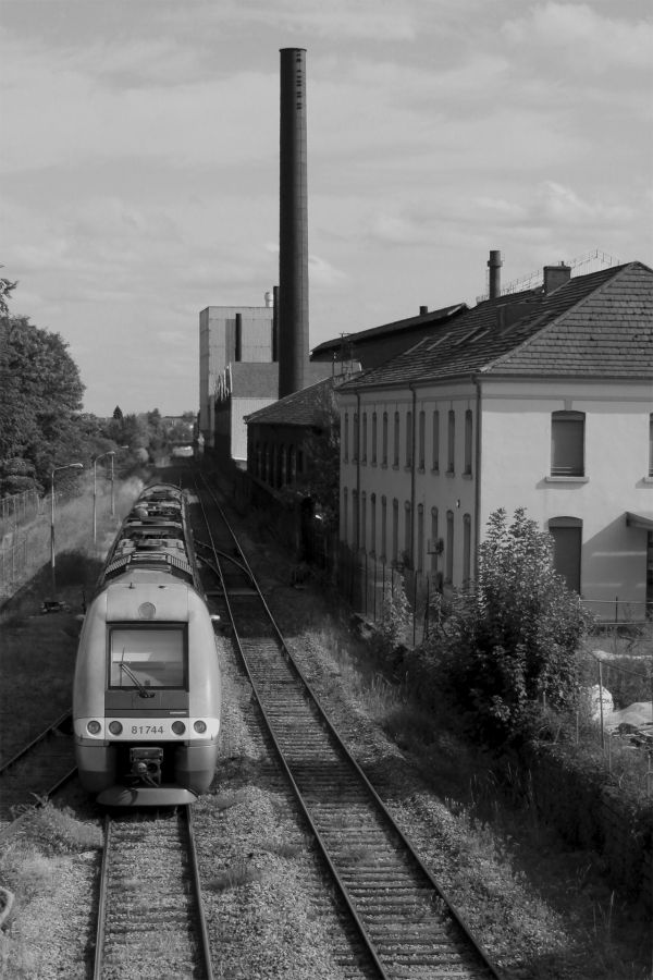 photo_9