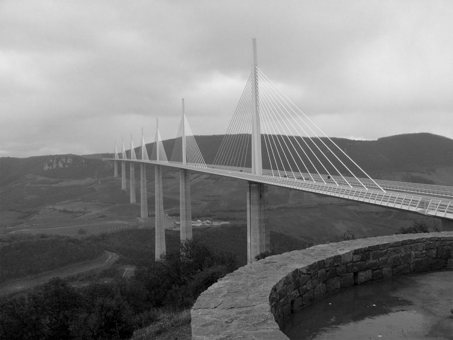 photo_11