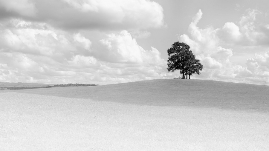 Solitude