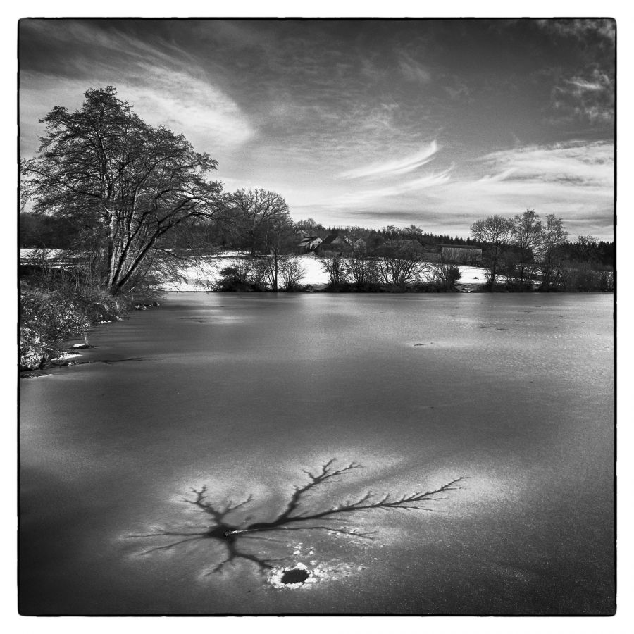 Etang gelé 