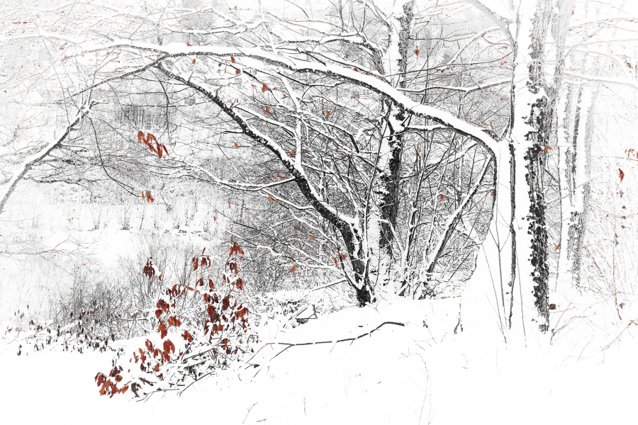 Silence blanc 2