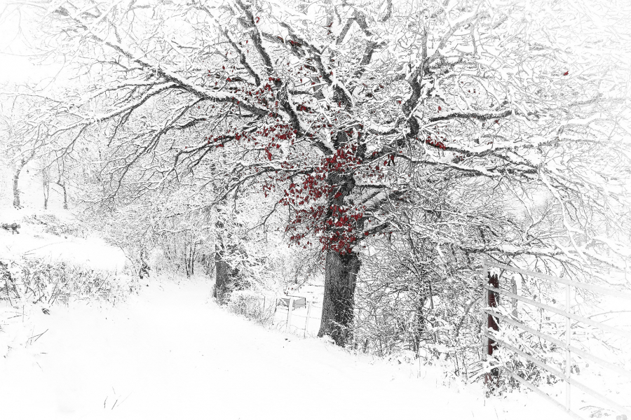 Silence blanc 3