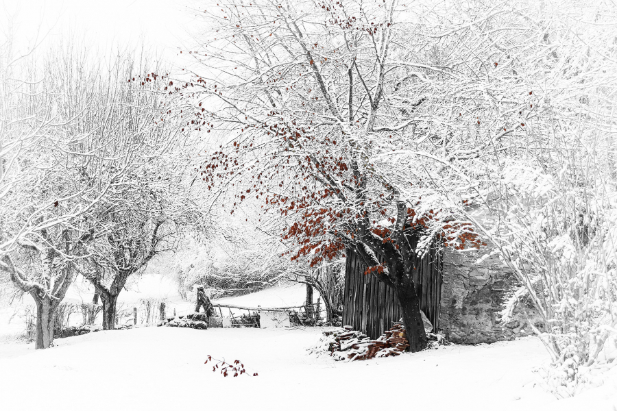 Silence blanc 4