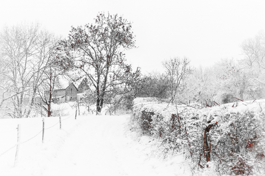 Silence blanc 5