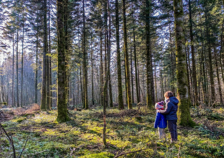 Détour en forêt