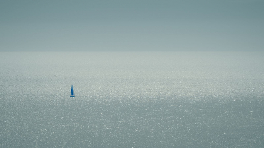 Le solitaire