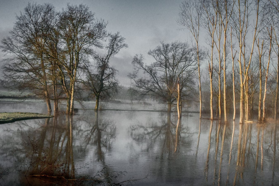 Les pieds dans l'eau