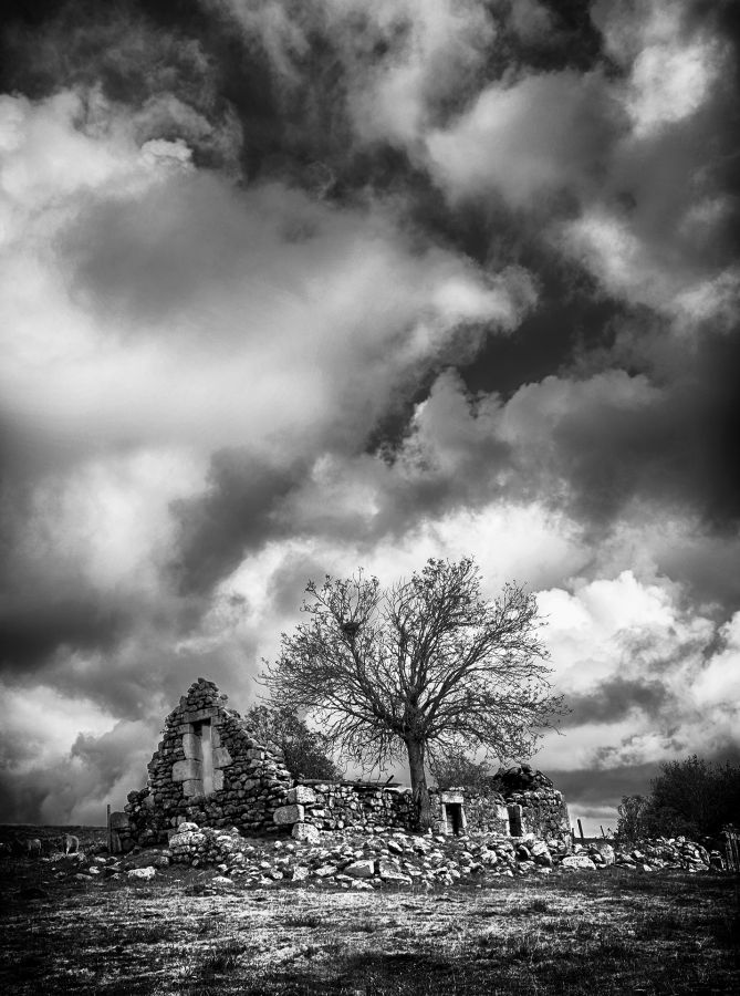 Aubrac